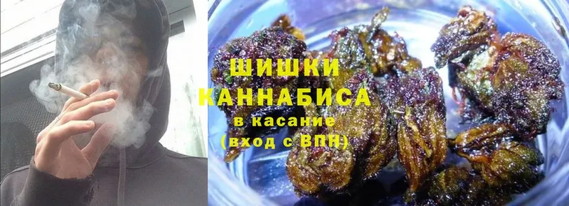 Как найти наркотики Кологрив LSD-25  Марихуана  Кокаин  Мефедрон  ГАШ  APVP 